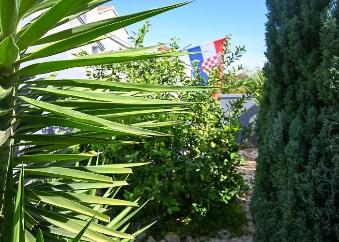 Apartment With Parking Space Bibinje, Zadar - 18066